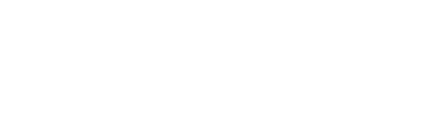 Logo-The-Elser