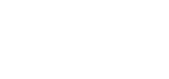 Viceroy Logo